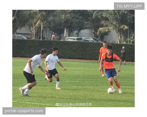 热身赛密集后的调整：山东泰山为保护球员取消所有非必要活动